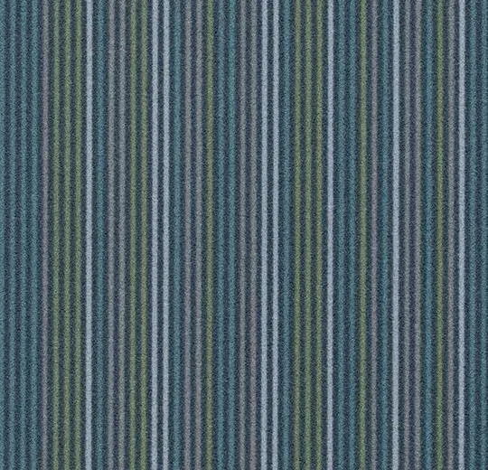 t550007 Complexity blue